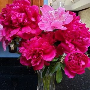 Meet your Posher, Heather